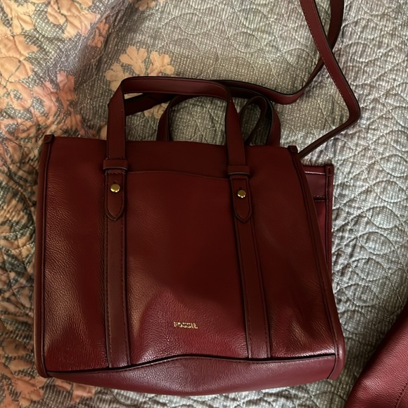 Real red fossil - Picture 4 of 5